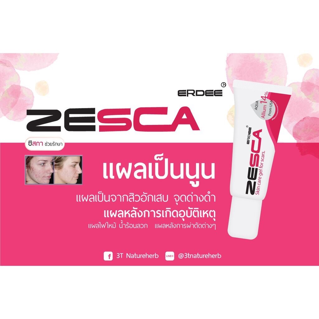 erdee-zesca-เออดี-ซีสกา-10g-เจลทาแผลเป็น-ซื้อเยอะราคาส่ง-zescar-allium-cepa