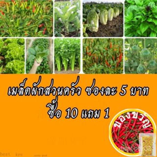 เมล็ดอวบอ้วน100%เมล็ดพันธุ์ผัก เมล็ดผักสวนครัว 10แถม1 ปลูกง่ายโตไว เมล็ดผักใหม่ ราคา5บาทเมล็ดพันธุ์KaleCosmosColorescule