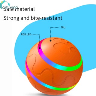 ลูกบอลเรืองแสงอัตโนมัติ พร้อมรีโมตคอนโทรล ของเล่นสําหรับฝึกสัตว์เลี้ยง สุนัข แมว