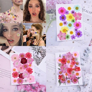 Baby small dried flowers face-to-face petals face decal shadow house flower fairy bride makeup stage manicure butterfly