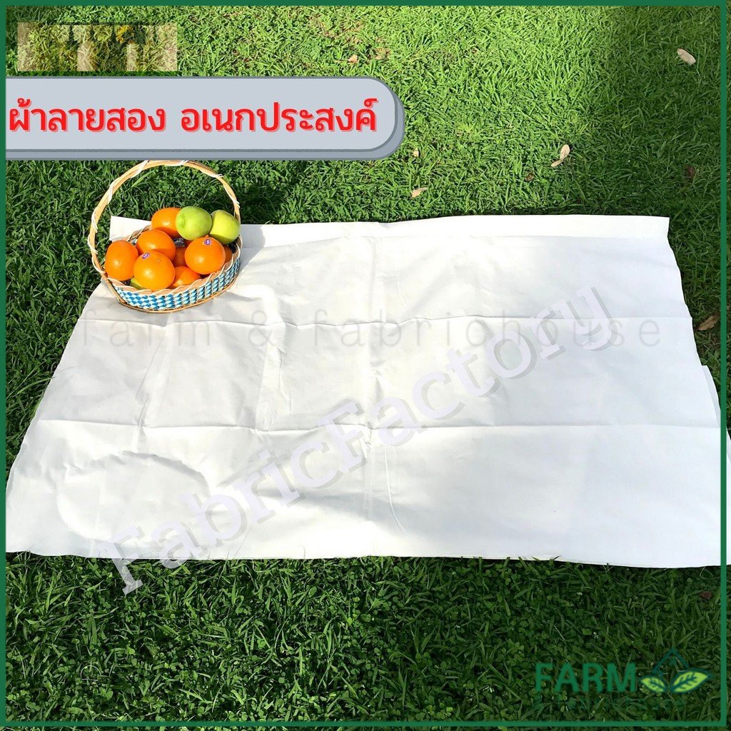 ถูกที่สุด-ls-ผ้าดิบลายสอง-อเนกประสงค์-ผ้าปิคนิค-ราคาโรงงาน