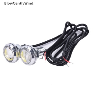 Blowgentlywind ไฟท้ายรถยนต์ LED DRL 10W 12V 23 มม. สีขาว 2 ชิ้น