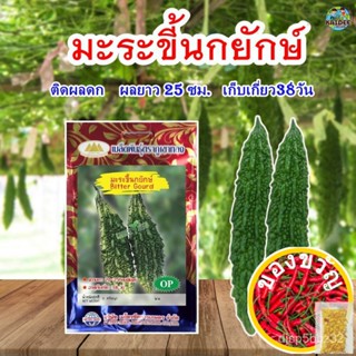 เมล็ดมะระขี้นกยักษ์ เหยี่ยวเวหา Bitter Gourd ตราภูเขาทอง เมล็ดพันธุ์มะระขี้นก เมล็ดมะระขี้นก เมล็ดผักสวนครัวZinniaChamom