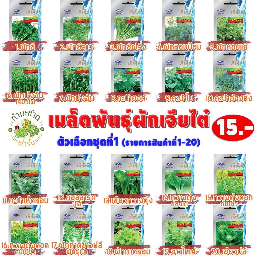 เมล็ดอวบอ้วน100-10แถม2-เจียไต๋-เมล็ดพันธุ์ผัก-พริกเหลือง-yellow-hot-pepper-bird-eye-chilli-ประมาณ-90-เมล็ด-ตราเจียไต๋