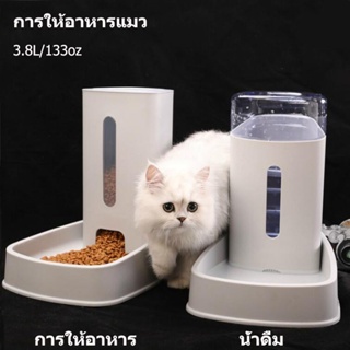 เครื่องให้อาหาร ที่ให้น้ำ ที่ให้อาหารแมวขนา 3.8 ลิตร อัตโนมัติ อาหารแมวชุดผสมสีขาว