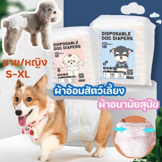 🐕COD🐕‍🦺ผ้าอ้อมสัตว์เลี้ยง ผ้าอ้อมสุนัขขนาดเล็ก ผ้าอ้อมแมว แพมเพิสสุนัข ชาย/หญิง S-XL ผ้าอนามัยสุนัข