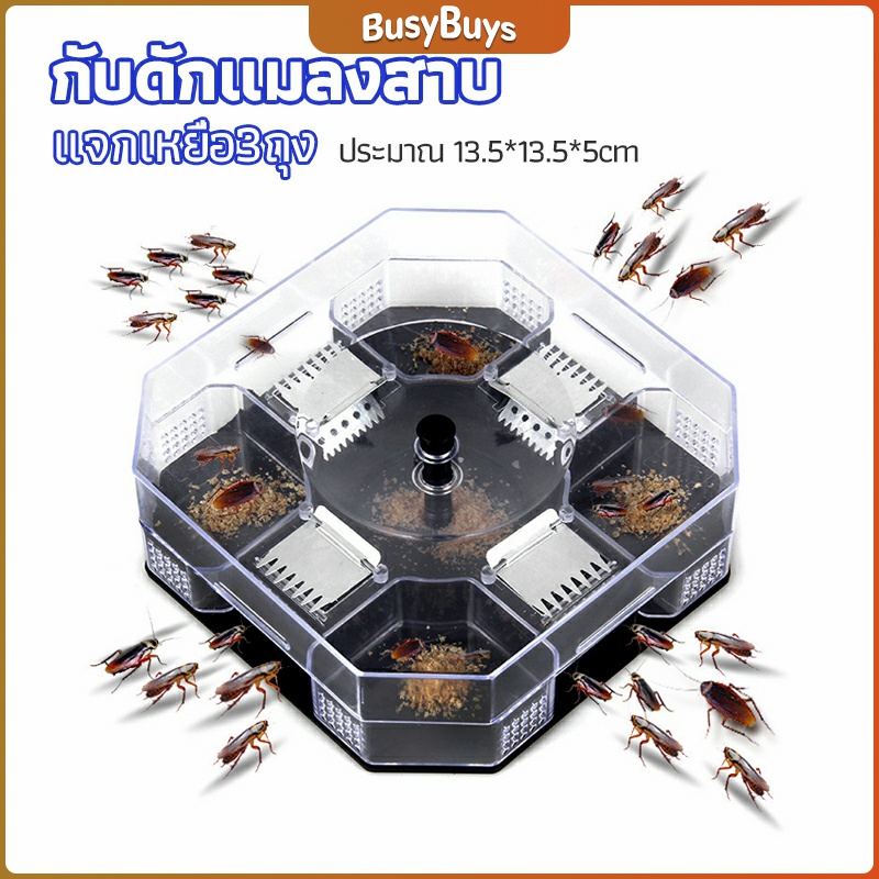 b-b-ที่ดักแมลงสาบ-ที่ดักแมลงสาบ-กล่องดักแมลงสาบ-cockroach-trap