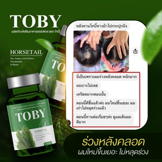 สินค้า 🌿ส่งฟรี 🌿วิตามินลดผมร่วง Toby Horsetail โทบี้ ลดผมร่วง เพิ่มผมเกิดใหม่ ผมร่วงหลังคลอด หัวล้าน โทบี้หญ้าหางม้า