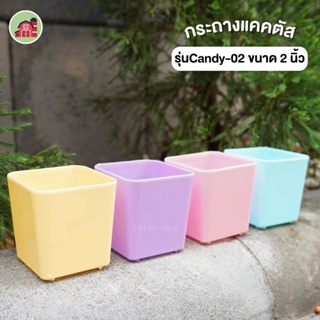 กระถางแคคตัส ทรงสี่เหลี่ยม รุ่นCandy-02 ขนาด 2 นิ้ว แพ็ค100ใบ