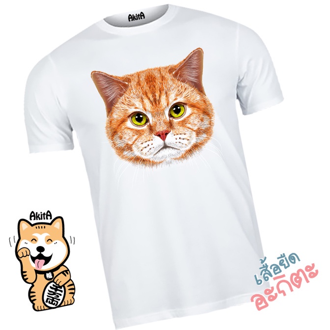 เสื้อยืดลายแมวส้ม-orange-cat-t-shirt-02