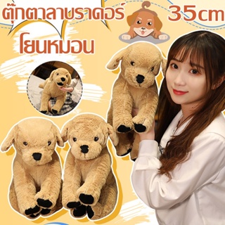 ตุ๊กตา​ ตุ๊กตา​น้องหมา​ ตุ๊กตาผ้า สุนัข เหลือง สุนัขโกลเด้น โยนหมอน GOSIG GOLDEN/ lKEA