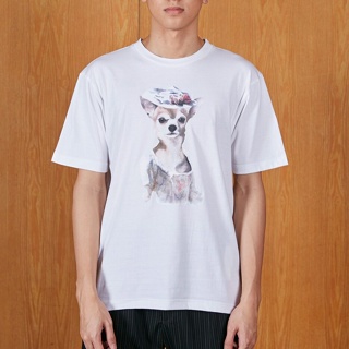 UU street PATTRIC BOYLE / ST / Chihuahua T-SHIRT / เสื้อยืด ลาย ชิวาวา สุนัข / แพททริค บอยล์ / 002035 00 02 ผ้าฝ้าย_02