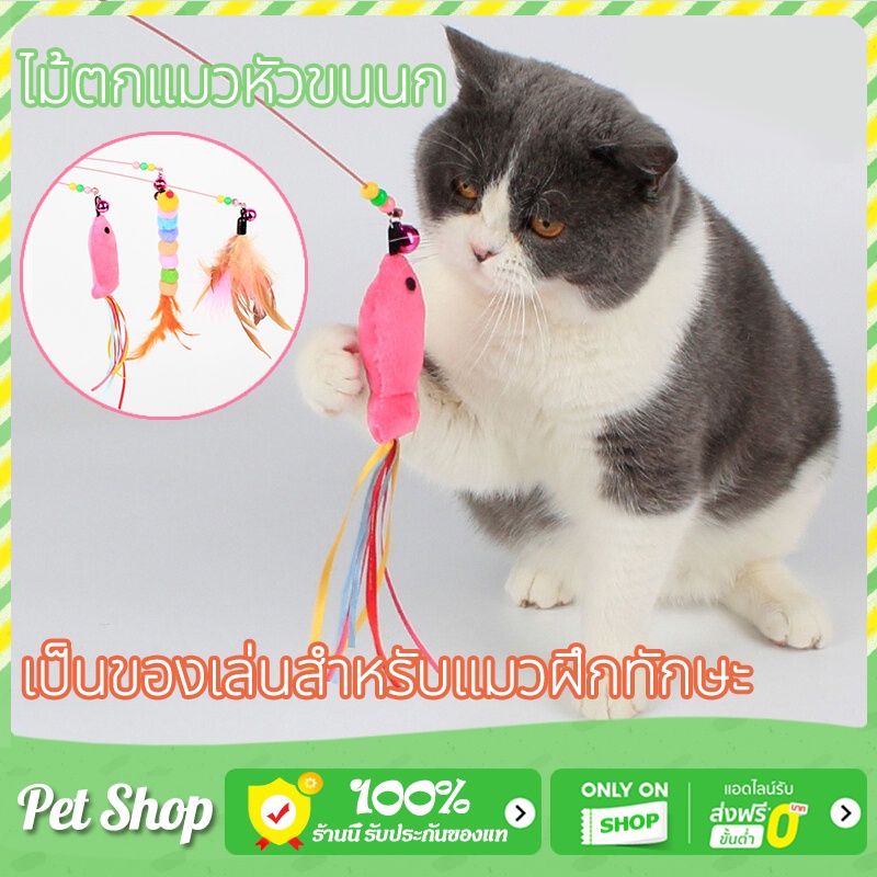 ไม้ตกแมวขนนกแท้สุดหรู เบ็ดตกแมว ไม้ล่อแมว