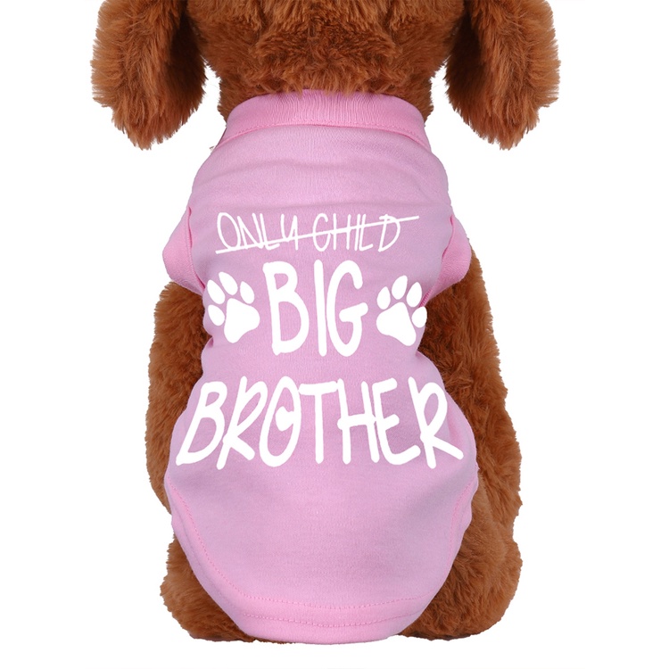 เสื้อยืด-พิมพ์ลายการ์ตูน-bcf-big-brother-สําหรับสัตว์เลี้ยง-สุนัข-แมว