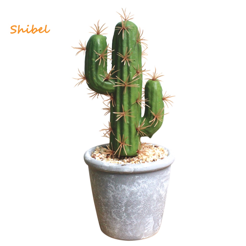 shibel-กระถางกระบองเพชรปลอม-เป็นมิตรกับสิ่งแวดล้อม-สําหรับตกแต่งบ้าน