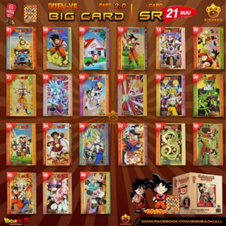 Big card Odenya Super Rare card บิ๊กการ์ด โอเดนยา ระดับSR