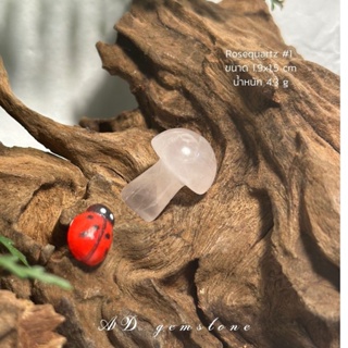 Rosequartz | โรสควอตซ์ #1 💕 #mushroom 🍄 ชมพู หวานน~ หินแห่งความรัก และการให้อภัย - AD gemstone