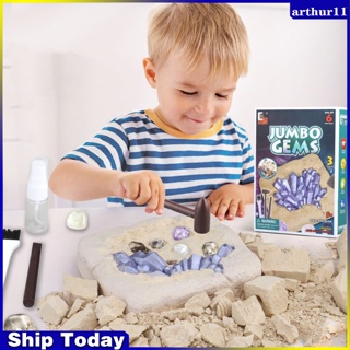 Arthur ของเล่นเด็ก อัญมณีขุดไดโนเสาร์ โครงกระดูกฟอสซิล Diy ของเล่นเพื่อการเรียนรู้