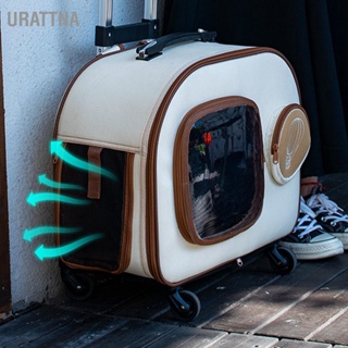 URATTNA Cat Carrier Backpack ความจุขนาดใหญ่ระบายอากาศหน้าต่างโปร่งใส Travel Bag สำหรับการเดินทางกลางแจ้ง