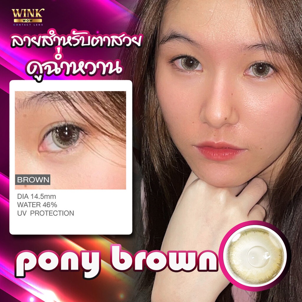 winkwow-pony-eff-19-brown-ใหญ่