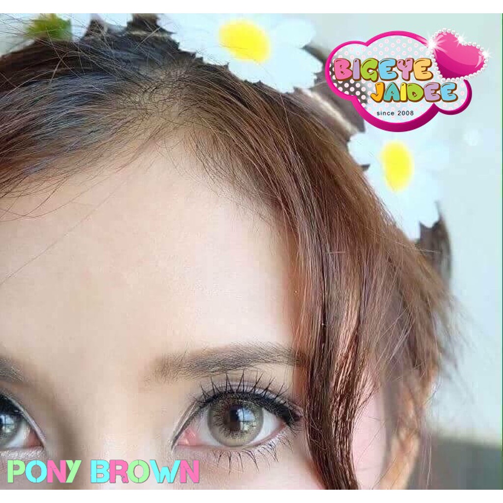 prettydoll-pony-eff-19-brown-ใหญ่