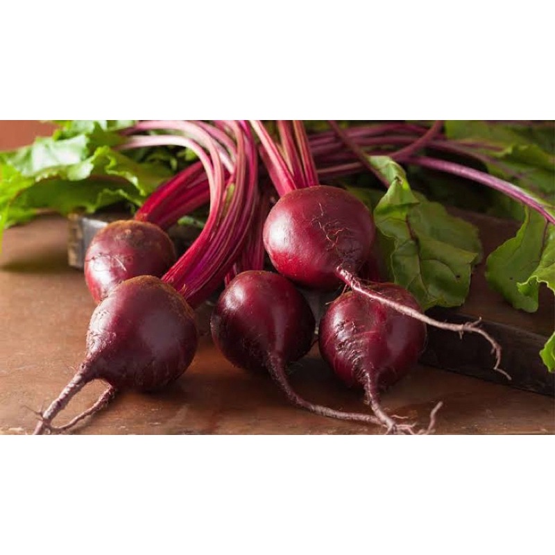 เมล็ดพันธุ์-หัวบีช-ดีทรอย-detroit-dark-red-beets-100-เมล็ด