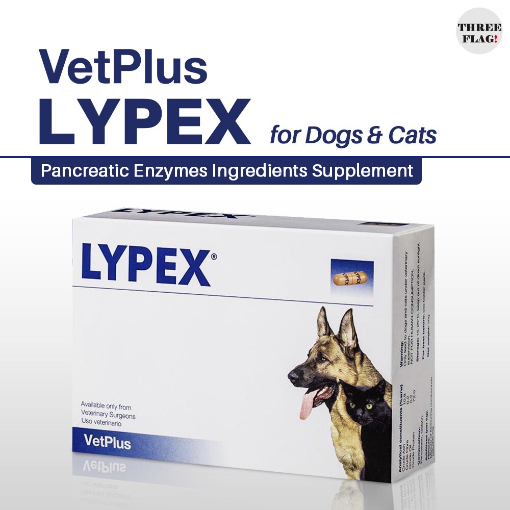 vetplus-lypex-อาหารเสริม-เอนไซม์ย่อยอาหาร-สําหรับสุนัขและแมว-60-แคปซูล