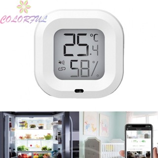 【COLORFUL】Thermometer Wireless With Notification Alarm PVC Temperature Humidity Meter