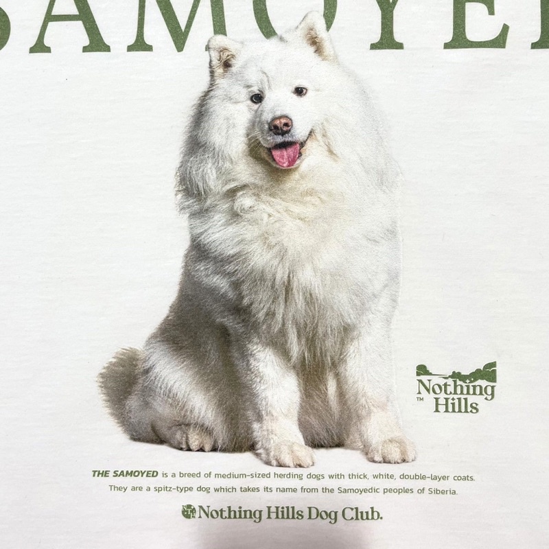 เสื้อยืดลาย-samoyed-ซามอยด์-classic-cotton-unisex-by-nothing-hills-02