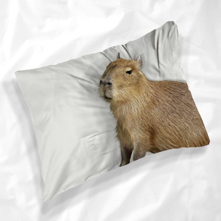 Capybara Kapibara ปลอกหมอน ลาย Masbro Meme น่ารัก สําหรับเป็นของขวัญ