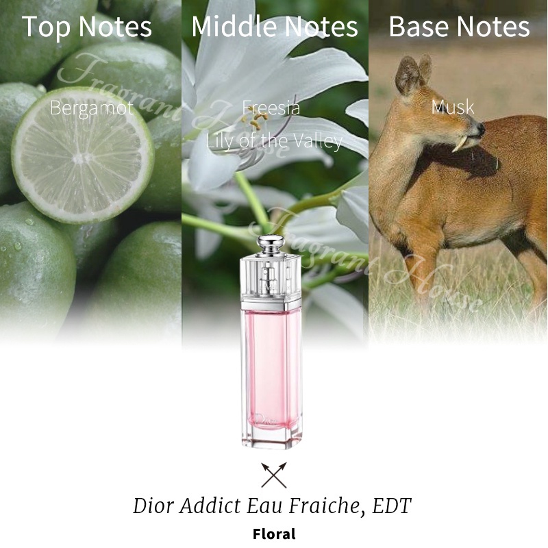 100-สปอตของแท้-จัดส่งที่รวดเร็ว-dior-addict-eau-fraiche-edt-10ml-5ml