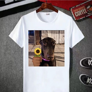 Cats and dogs refer to people Customized t-shirts Old six Chaigou facial expression pack spoof Mens short sleeved _02