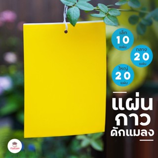 แผ่นกาวดักแมลง ( แพค 10-20 แผ่น )