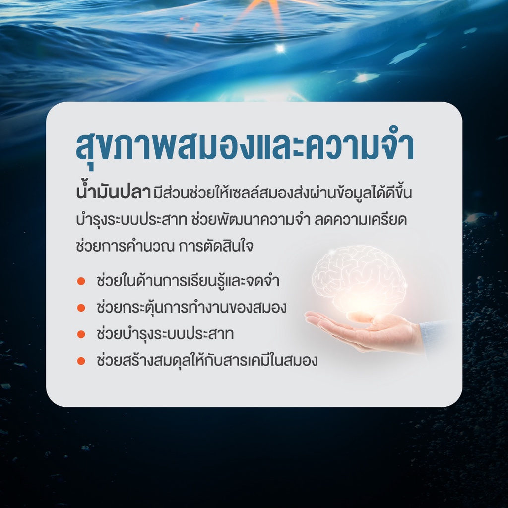 น้ำมันปลา-fish-oil-ฟิชออย-สุขภาพสมองและความจำ-ช่วยบำรุงสายตา-และ-ความจำ-ze-mega3-ขนาด-30-เม็ด