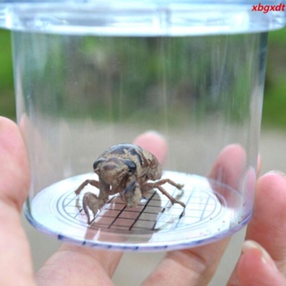 กล่องแว่นขยาย จับแมลง แบบใส สําหรับเด็ก [JL]