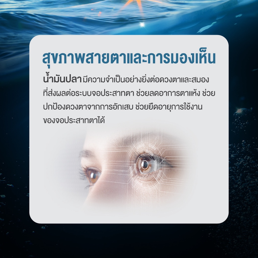 น้ำมันปลา-fish-oil-ฟิชออย-สุขภาพสมองและความจำ-ช่วยบำรุงสายตา-และ-ความจำ-ze-mega3-ขนาด-30-เม็ด