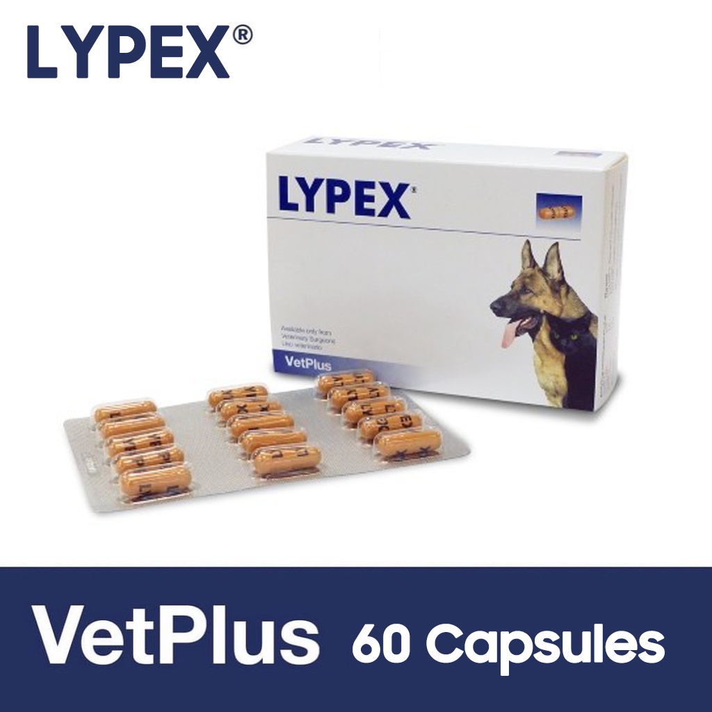 vetplus-lypex-อาหารเสริม-เอนไซม์ย่อยอาหาร-สําหรับสุนัขและแมว-60-แคปซูล