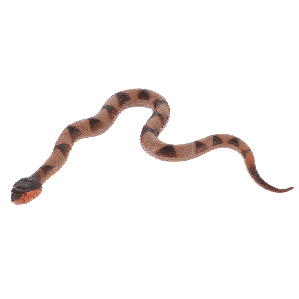 Faux Snake Cummerbund