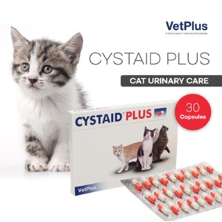 Vetplus Cystaid Plus 1 กล่อง (30 แคปซูล) ผลิตภัณฑ์ดูแลปัสสาวะ