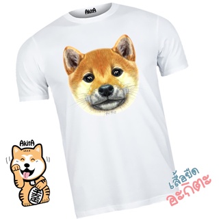 เสื้อชืดลายหมาชิบะ Shiba dog T-shirt_02