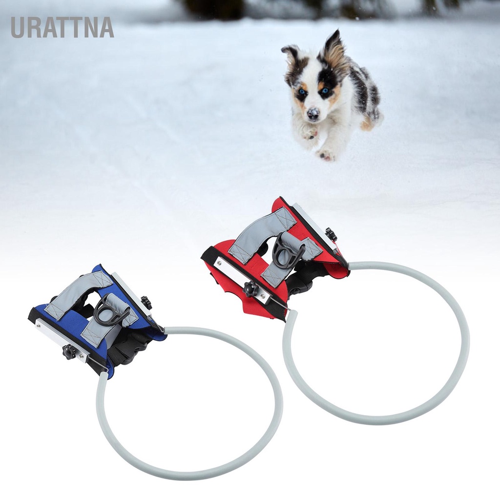 urattna-สายจูงสุนัข-สําหรับป้องกันหัวตาบอด-ป้องกันการชนกันตาบอดอุปกรณ์-แนะนำสายรัดสุนัขสำหรับแมวลูก-สุนัข