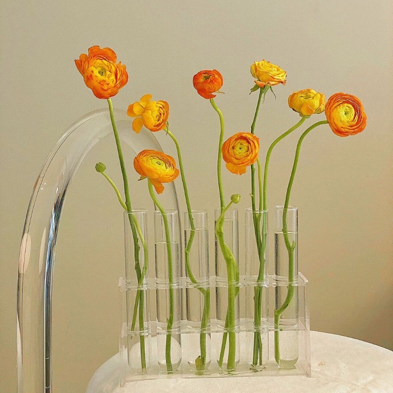 แจกันดอกไม้ไฮโดรโปนิก-แบบหลอดแก้ว-สําหรับตกแต่งบ้าน-พร็อพถ่ายภาพ