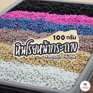 หินโรยหน้ากระถาง ดินญี่ปุ่นดำ หินกลมสี 100 กรัม แคคตัส กระบองเพชร ไม้อวบน้ำ