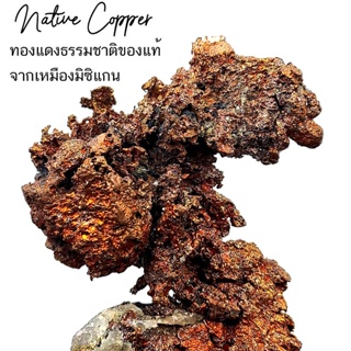 Native Copper ทองแดงธรรมชาติของแท้ จากเหมืองมิซิแกน รูปร่างสวยเป็นช่อ