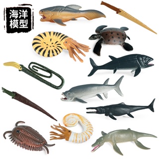 ❤การขายส่งโรงงานอุตสาหกรรม❤เด็กจำลองยุคก่อนประวัติศาสตร์มหาสมุทรสัตว์ขนาดเล็กรุ่น clover แอมโมไนต์ ichthyosaur Dengs ปลาของเล่นตกแต่งฉากของเล่น Montessori ช่วยสอน