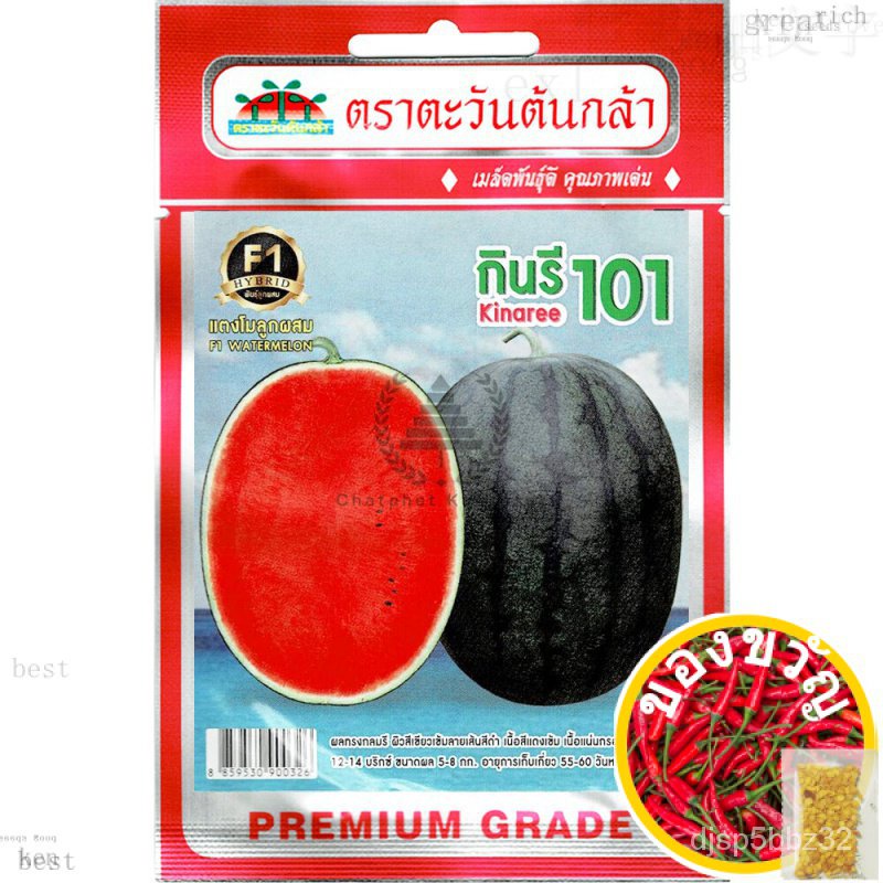 เมล็ดอวบอ้วน100-ไทยในสต็อกพร้อมส่งเมล็ดพันธุ์-แตงโมลูกผสม-กินรี-101-ตราตะวันต้นกล้าเมล็ดพืชคุณภาพสูงroseesculentummarig