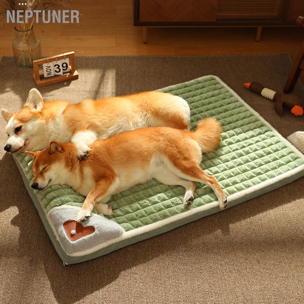 neptuner-pet-pad-bed-ที่ถอดออกได้ล้างทำความสะอาดได้-high-rebound-soft-thicken-dog-mat-สำหรับสุนัขขนาดเล็กและขนาดกลาง