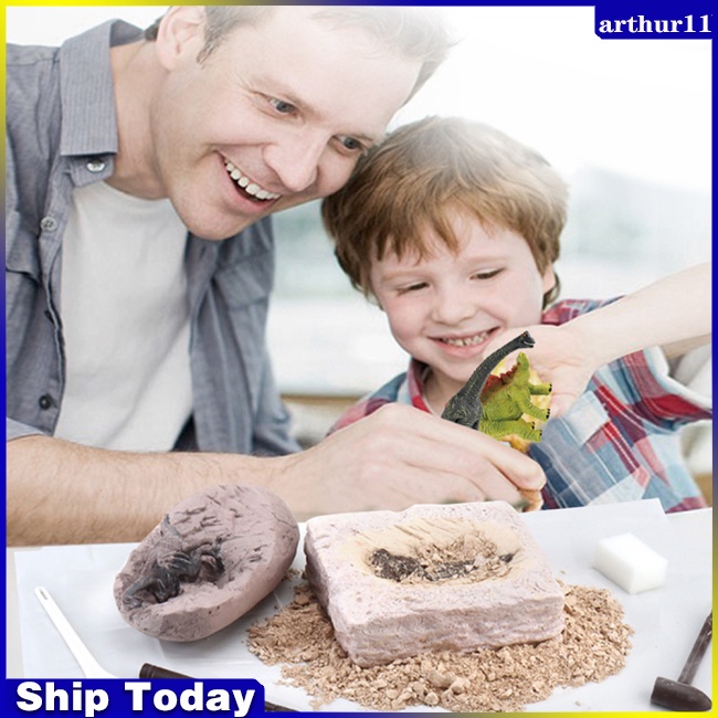 arthur-ของเล่นไดโนเสาร์-ฟอสซิล-ไข่ไดโนเสาร์-ขุดโบราณคดี-diy-สําหรับเด็ก-ทดลองสอน