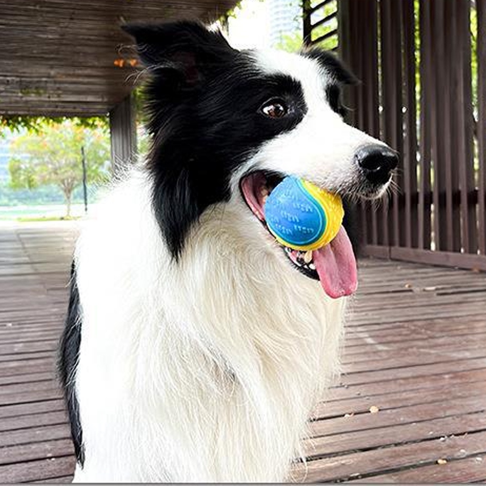 ลูกบอลยางเด้งได้-พร้อมเชือก-ของเล่นสําหรับสัตว์เลี้ยง-สุนัข-ลูกสุนัข