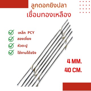 สินค้า ลูกดอกยิงปลา4มิล40เซน ครึ่งโหล (6ดอก)